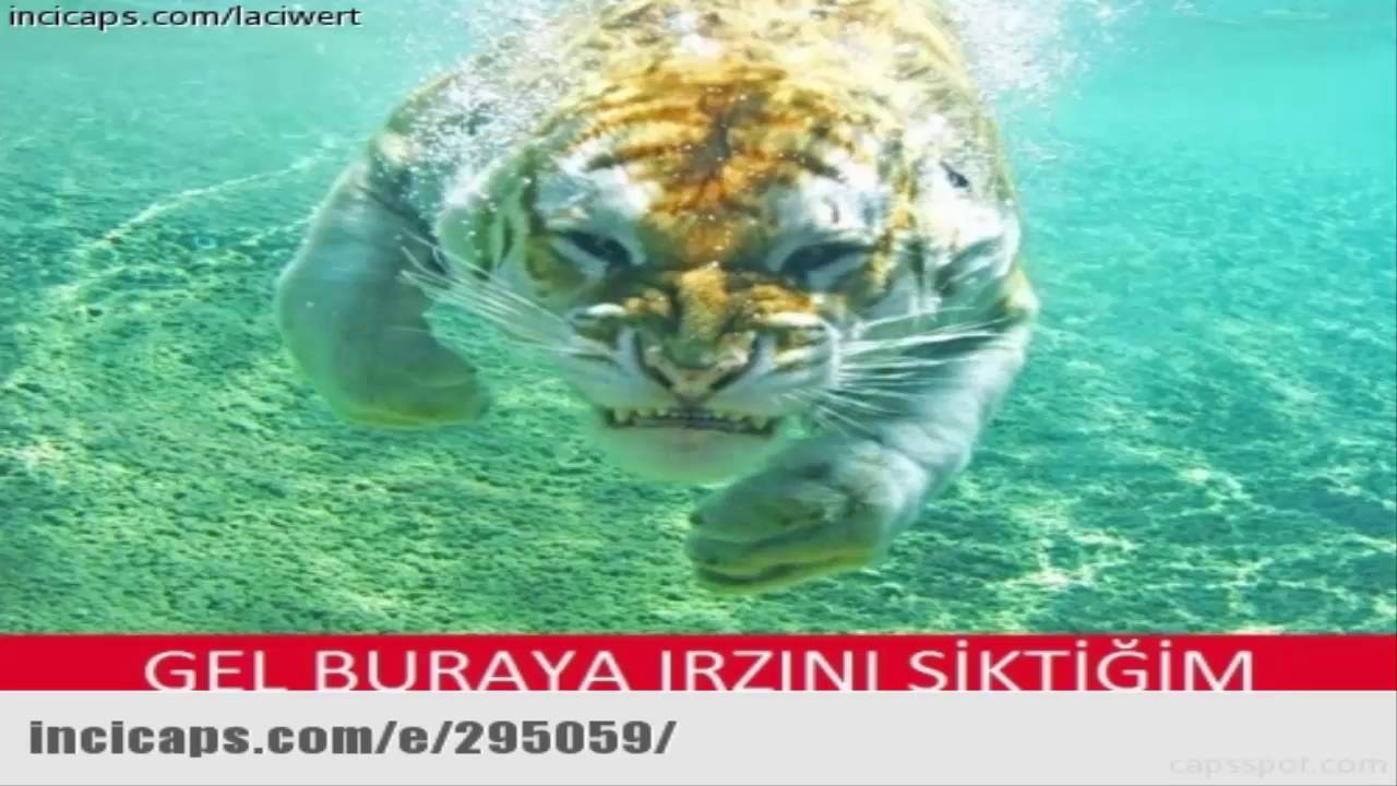 Komik Capsler Vol 2