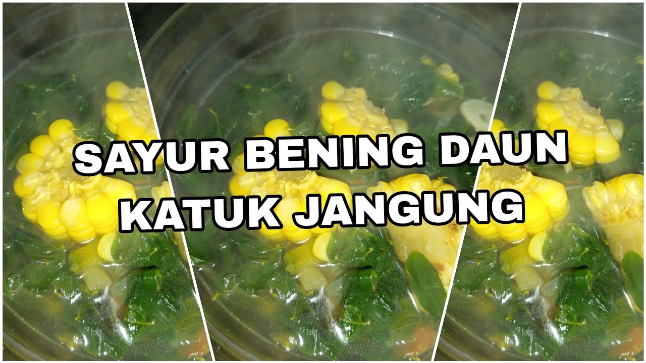 Segarnya Kebangetan! 🤤 Resep Sayur Bening Daun Katuk & Jagung Manis Paling Enak 🌿🌽