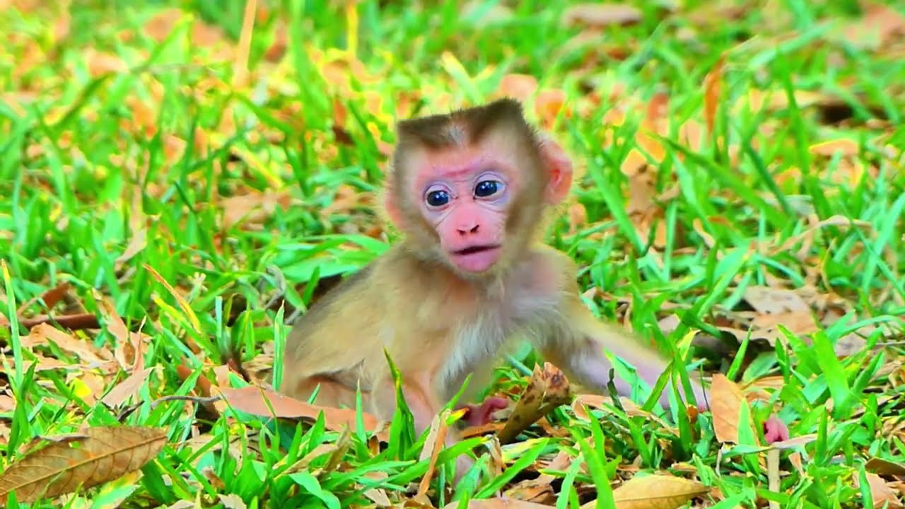 Really Nobody Help Newborn...!