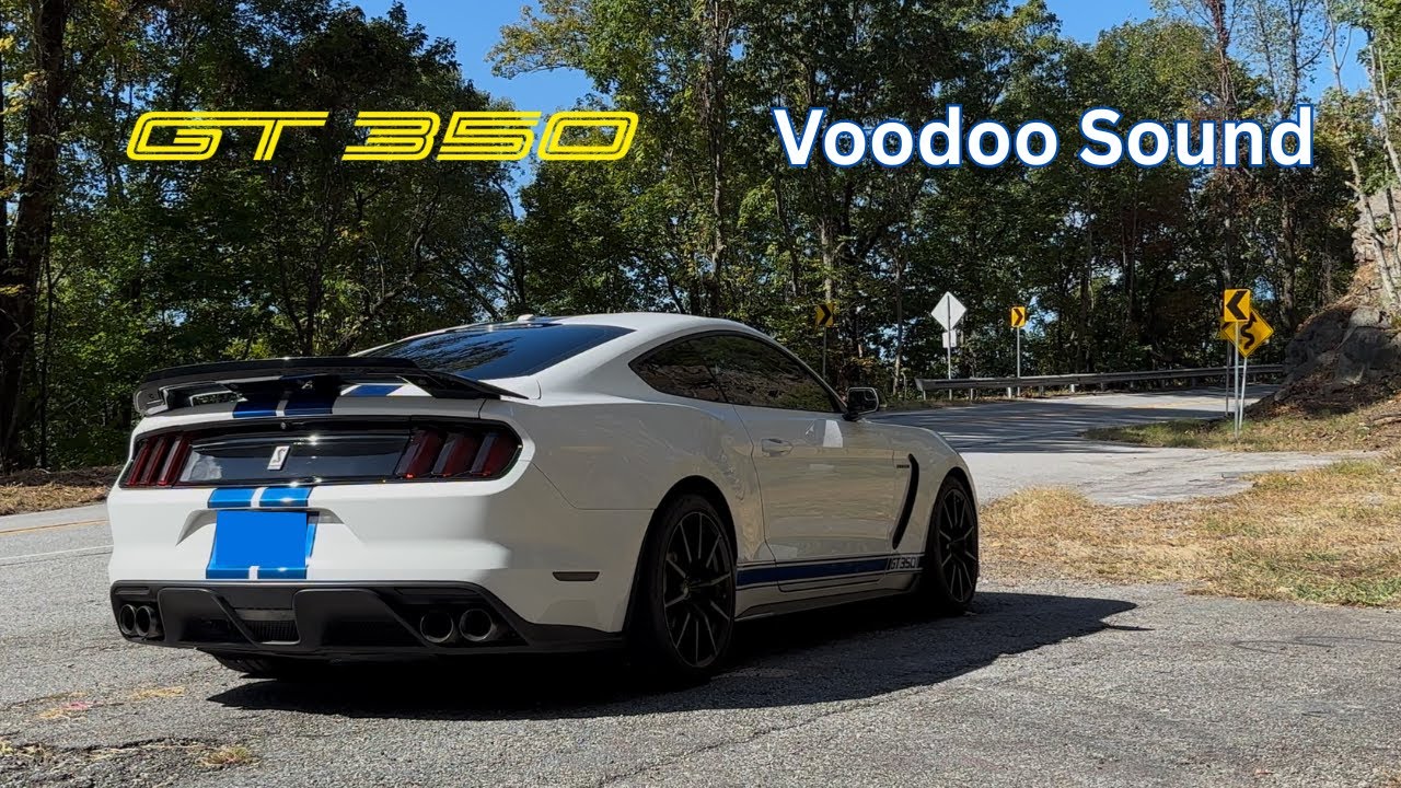 V8 Therapy | Weekend Mountain Drive in the GT350
