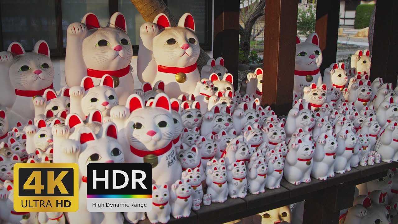 Paws and Prayers in the Cat Temple of Tokyo - 4K HDR