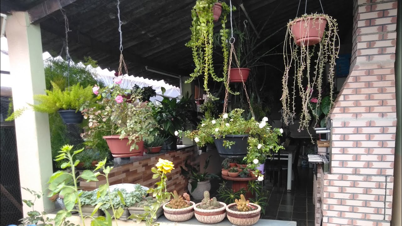 FAZENDO UM TOUR A PEDIDO DE INSCRITAS - MOSTRANDO PLANTAS QUE NUNCA MOSTREI NO CANAL ❤️🤗💕