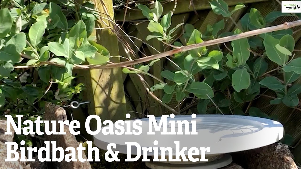 Nature Oasis Mini Birdbath & Drinker