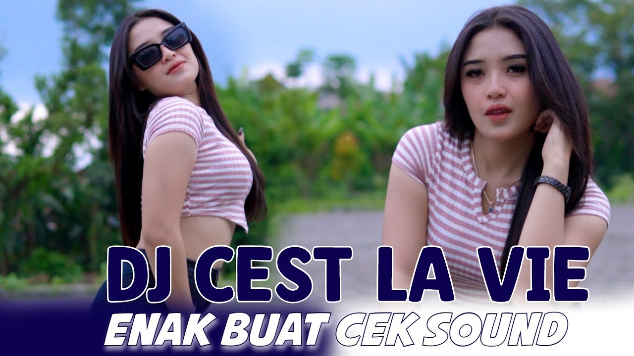 DJ CEST LA VIE - ENAK BUAT CEK SOUND