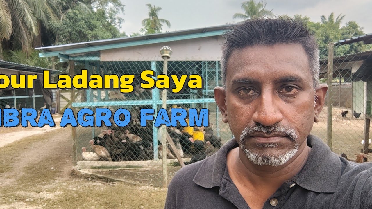V15, Tour Ladang Libra Agro Farm | Tengok Sendiri Cara Kami Urus Ternakan