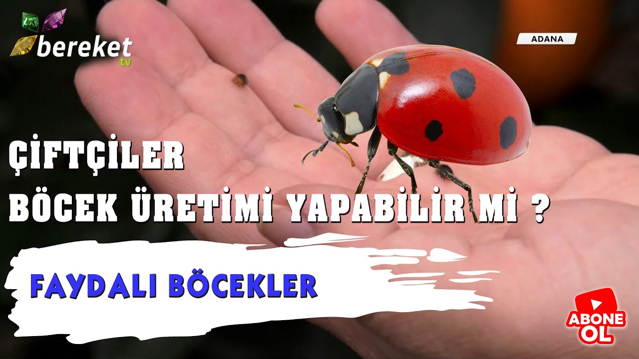 Çiftçiler Böcek Üretimi Yapabilir Mi ?