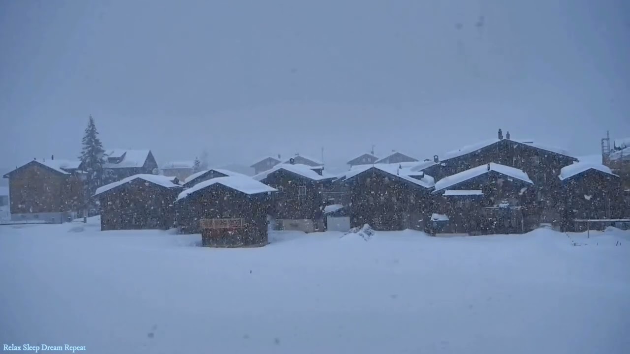 Heavy Snowfall | Winter Storm | Thick Snowflakes Falling in a Village | Calm Breeze