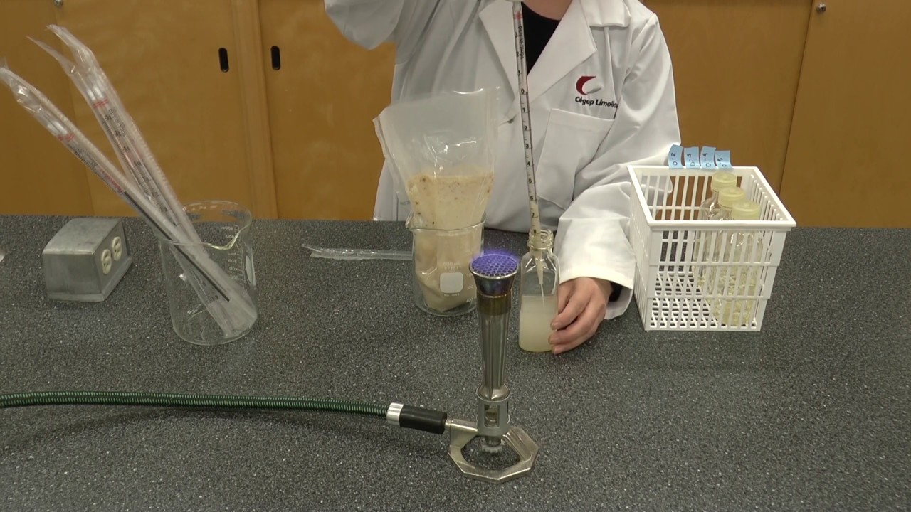 Dilution de l'aliment
