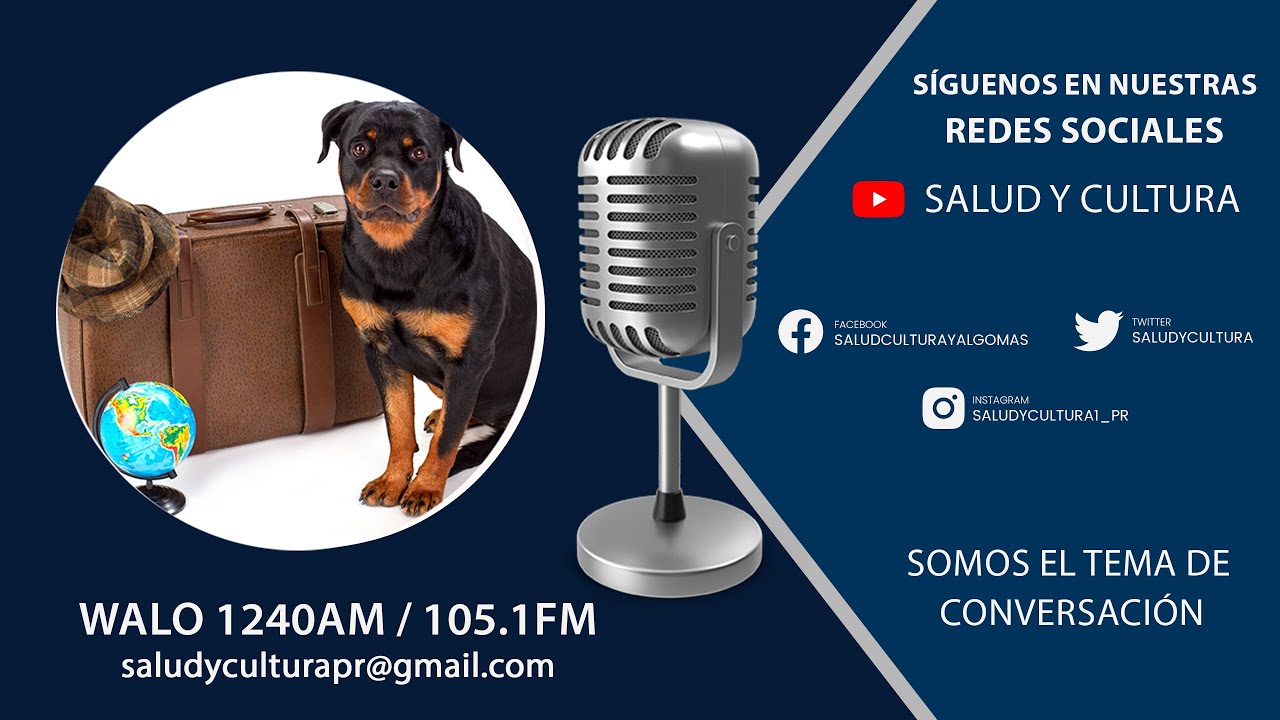 Recomendaciones para que mi mascota tenga un viaje tranquilo
