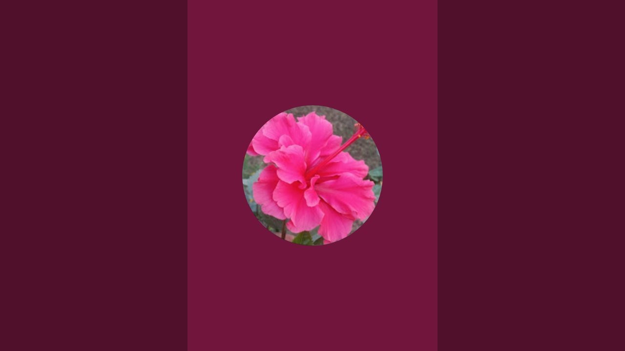 Gyanganga_123 is live!