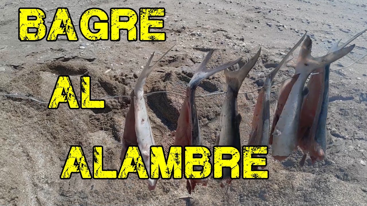 PESCA DE COSTA