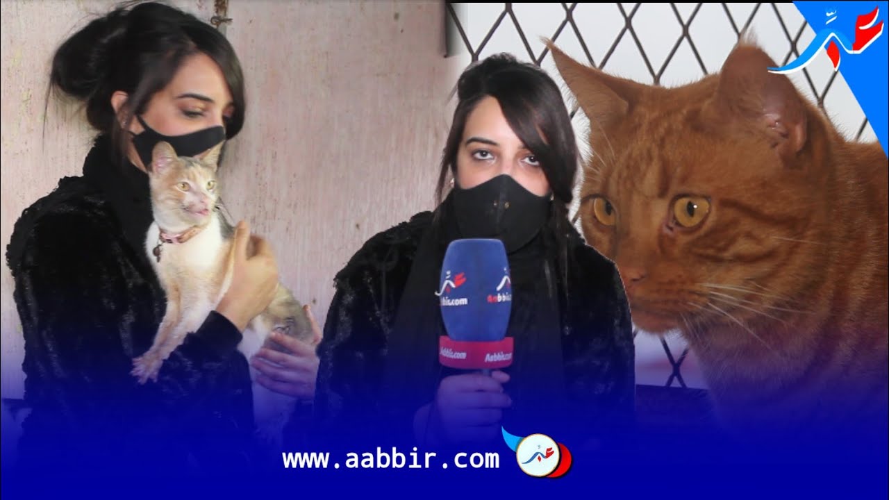 هاجر شابة من مدينة سلا تواضب على اطعام وانقاذ قطط الشارع.. تبكي وتتحسر على حالاتهم..وها المفاجأة..