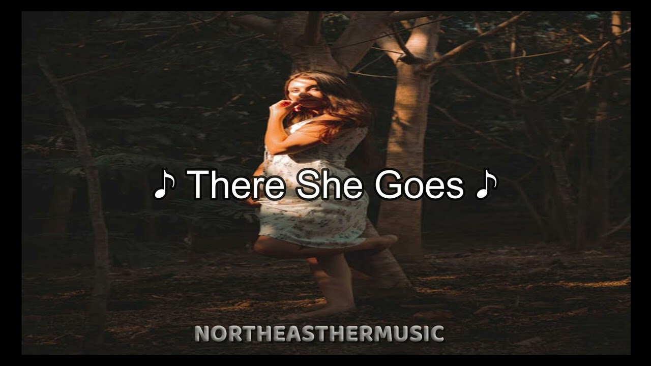 Taio Cruz - There She Goes (Slowed+Reverb)