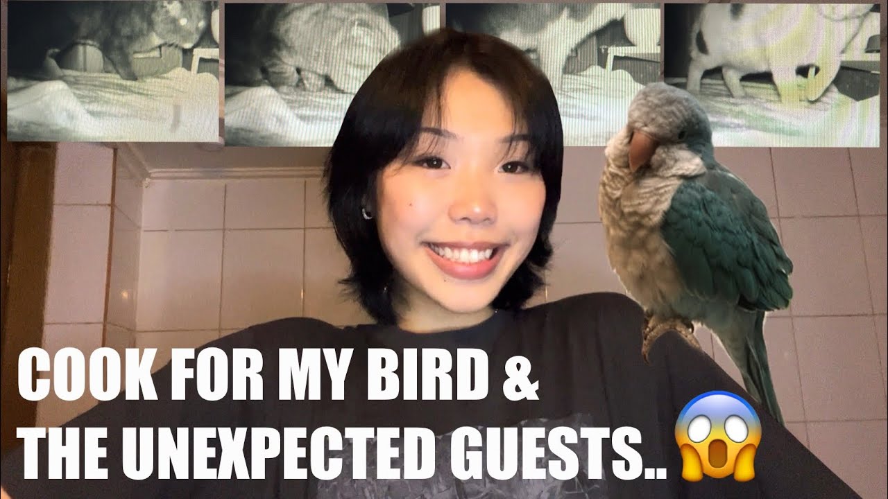 Cook with me for my bird and the unexpected guests in Seoul!😱🤯