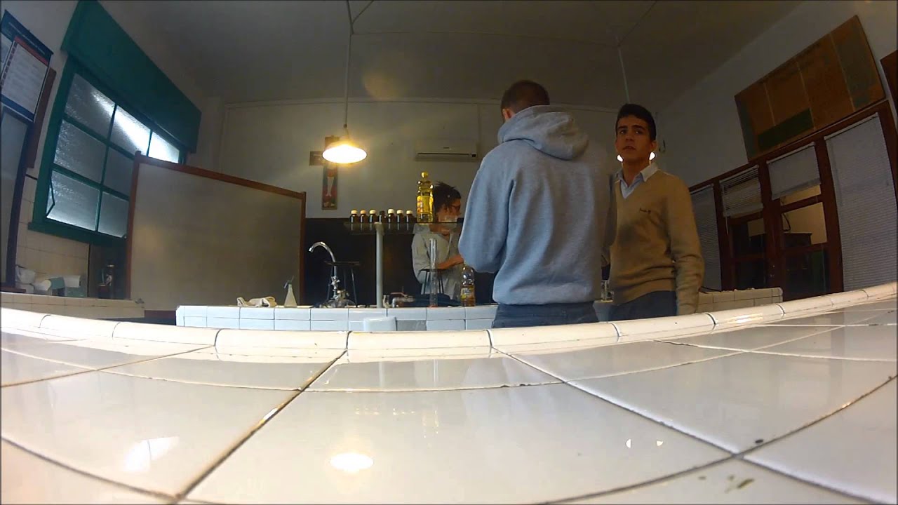 BIOFUEL DEVELOPMENT / ELABORACION DE BIOCOMBUSTIBLE (MONTEVIDEO-URUGUAY)