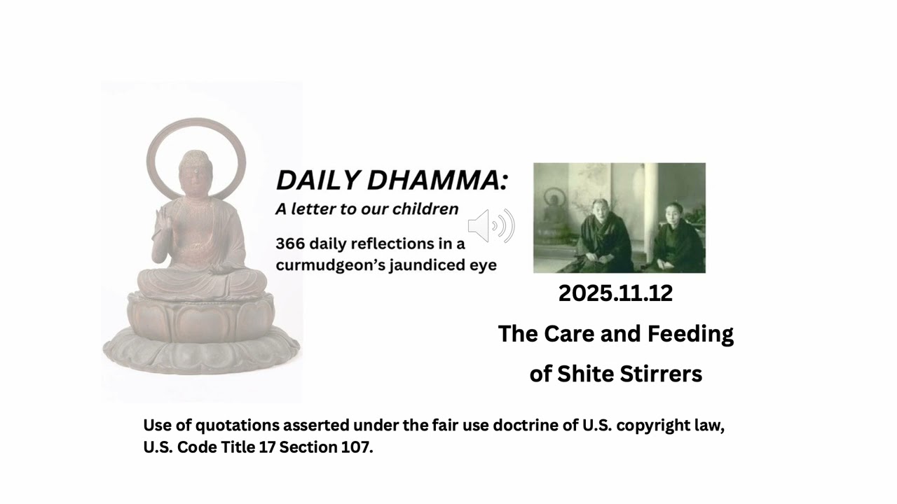 The care and feeding of shite Stirrers daily dhamma a letter to our children