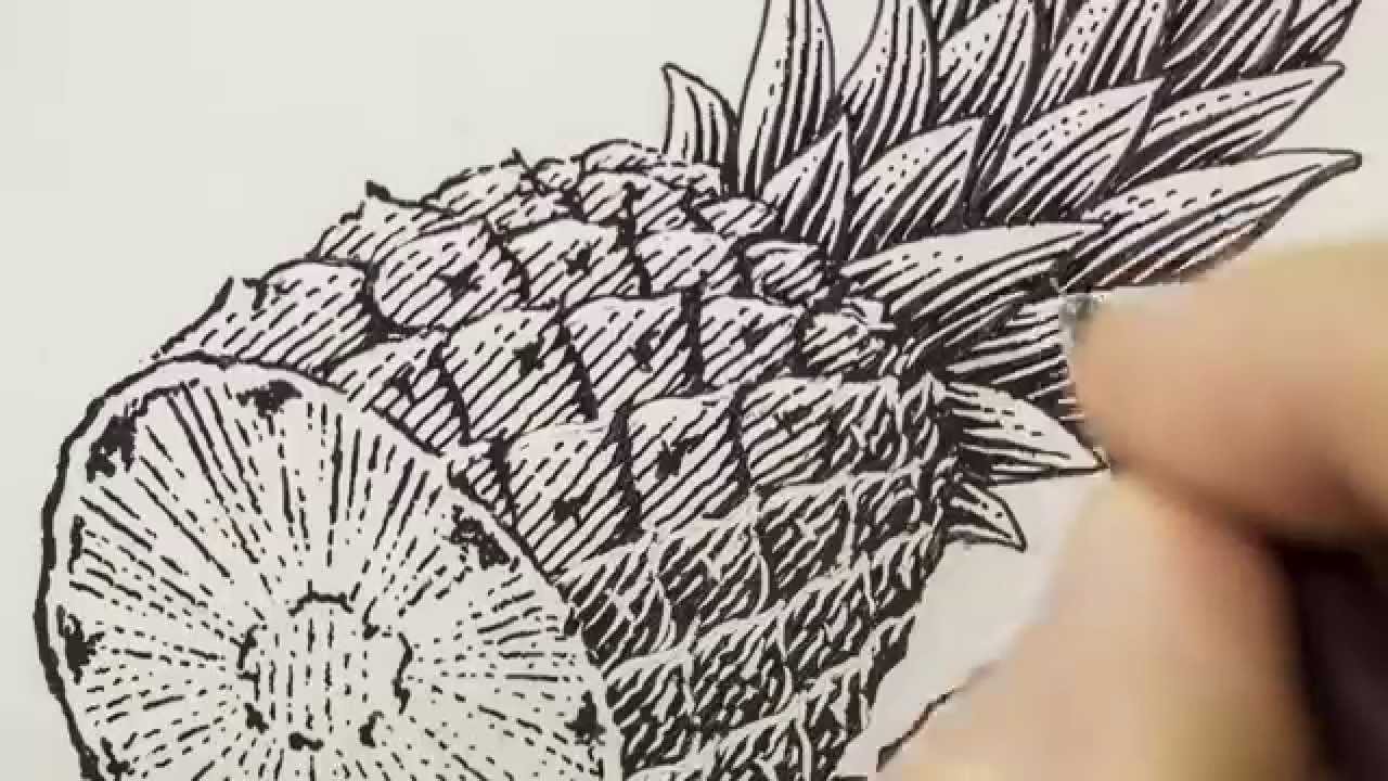 Scratchboard Illustration if a Pineapple for Jelly Label