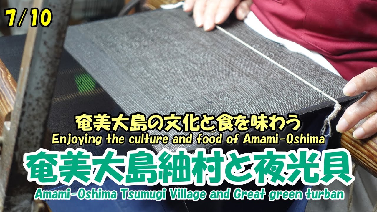 【奄美大島】路線バスの旅 3日目_3 奄美大島紬村で大島紬について学ぶ(Learning about Oshima Tsumugi at Amami-Oshima Tsumugi Village)
