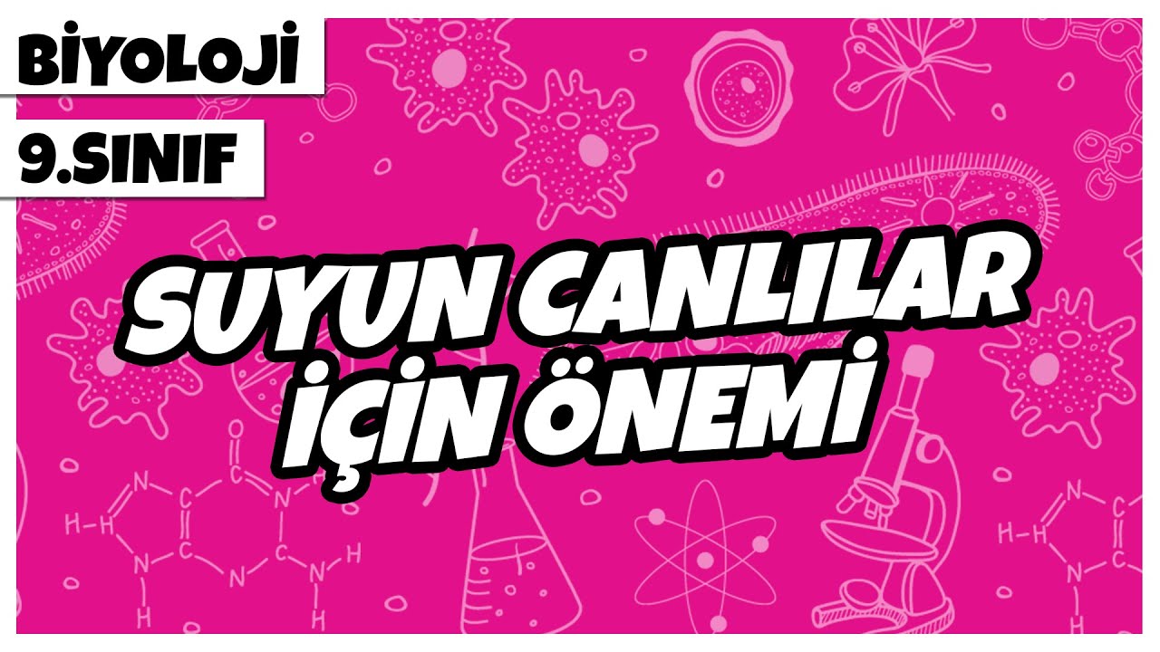 9. Sınıf Biyoloji - Suyun Canlılar İçin Önemi | 2022