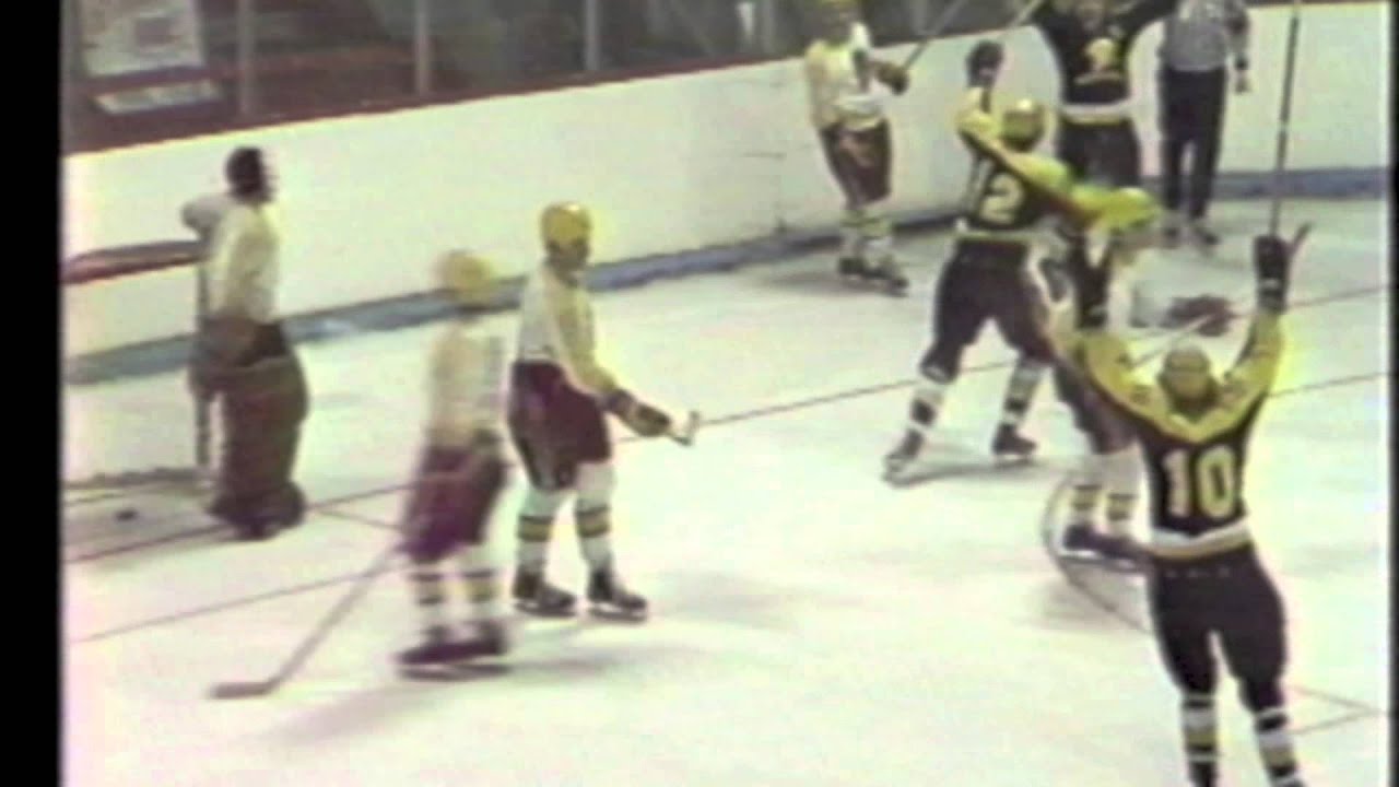 Deja Vu - a Tribute to the 1973-74 National Champion Warrior Hockey Team