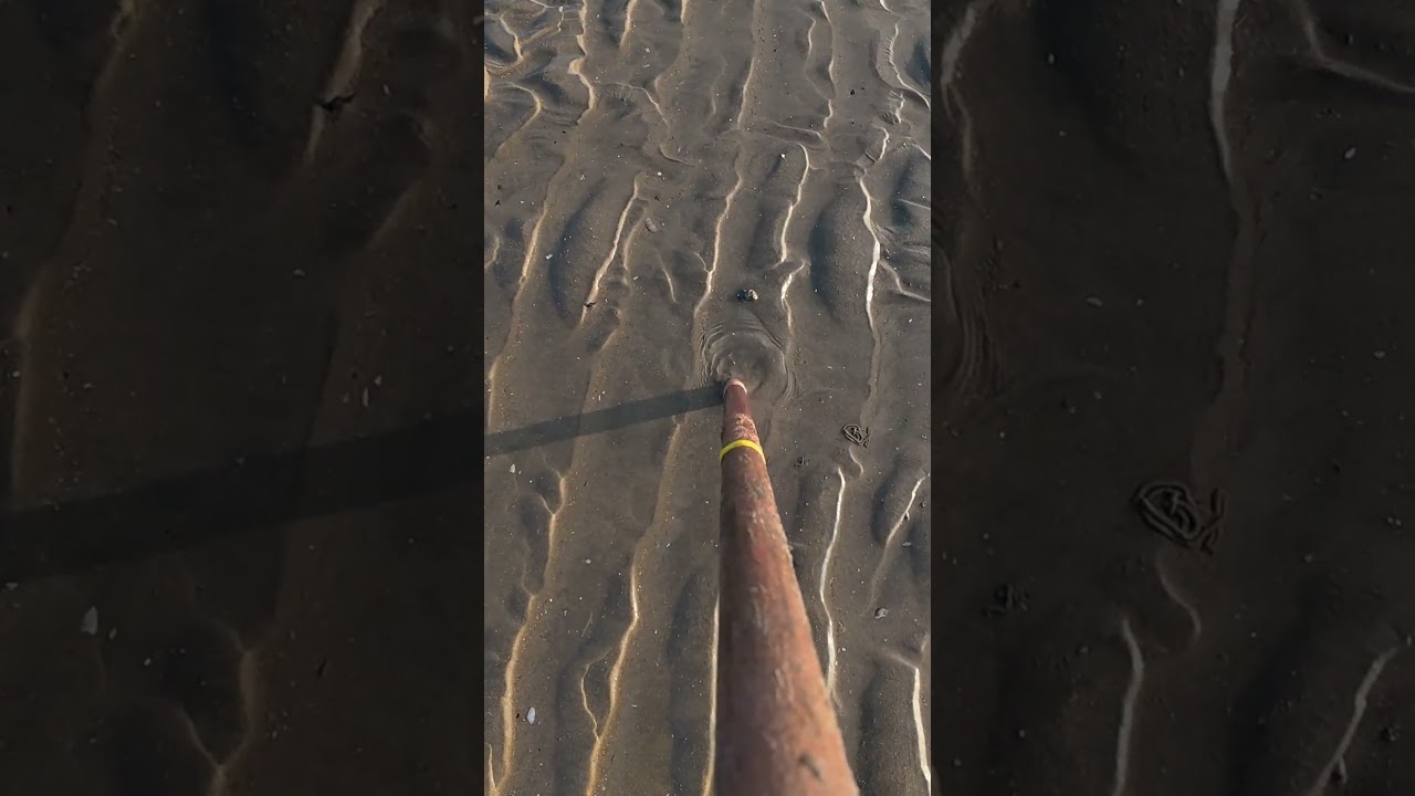 pumping lugworm 1 simple tip that might help you
