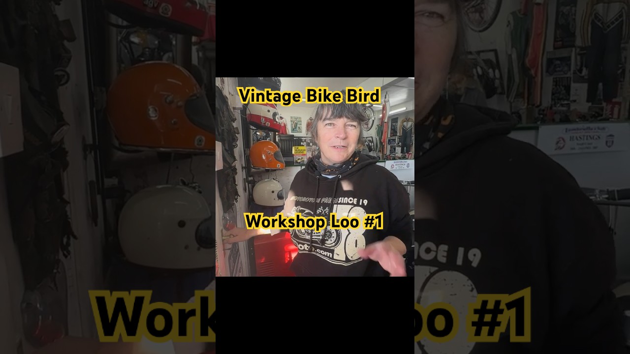 Vintage Bike Bird and her Loo Obsession #classicmotorcycle #nortoncommando #vintagemotorcycle
