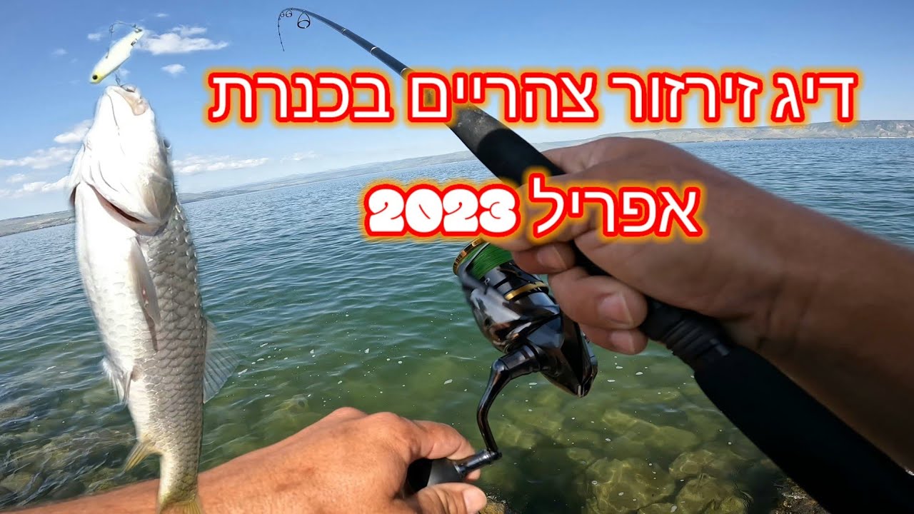 זירזור צהריים בכנרת עובד מצוין ציקדות וג'יגים #דייגבזירזור