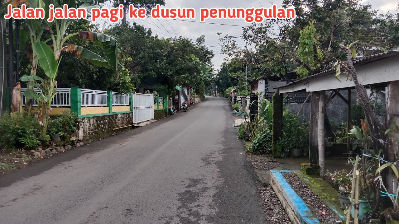 Jalan jalan pagi ke dusun penunggulan desa kebontunggul kec Gondang Mojokerto 