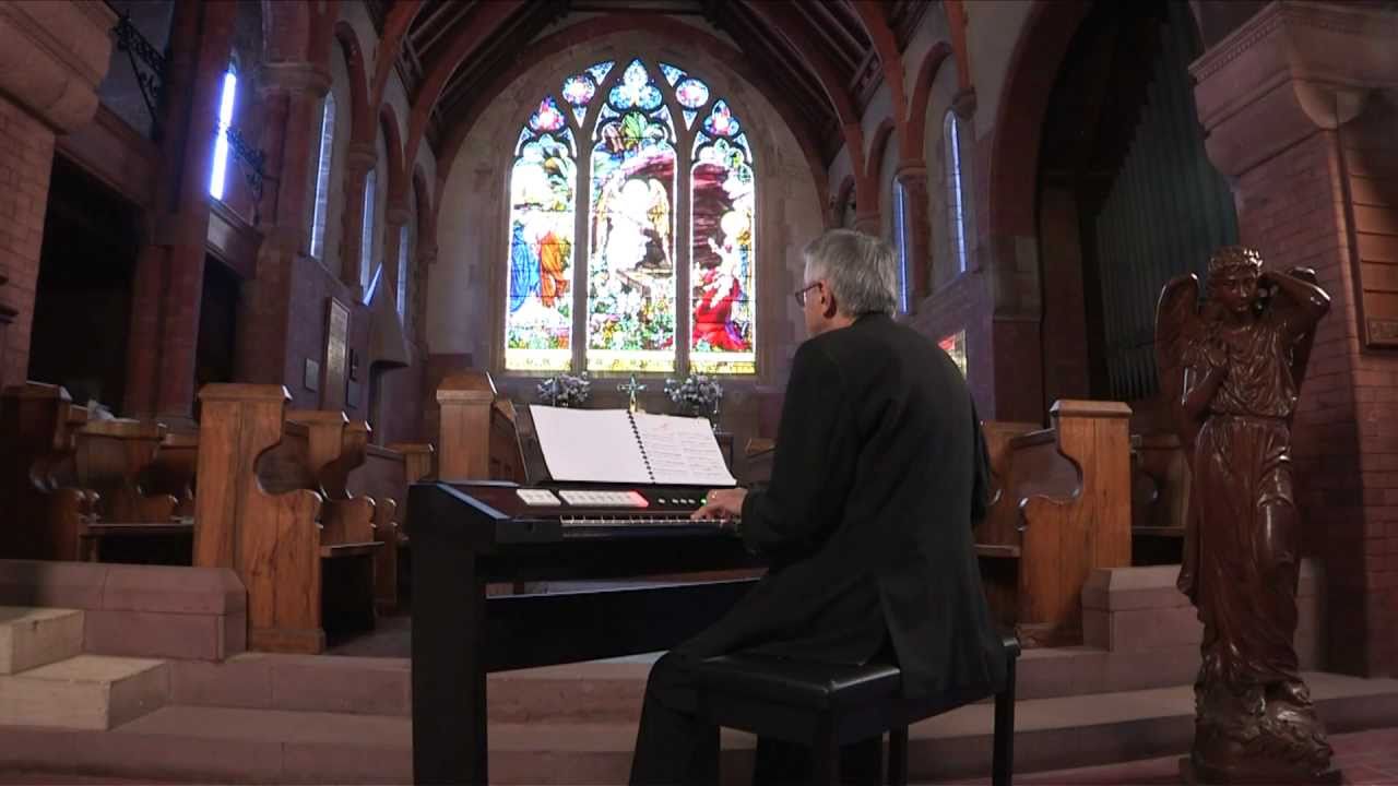 Roland C-200 Classic Organ - Hector Olivera - Malle Sijmen (Silly Simon)