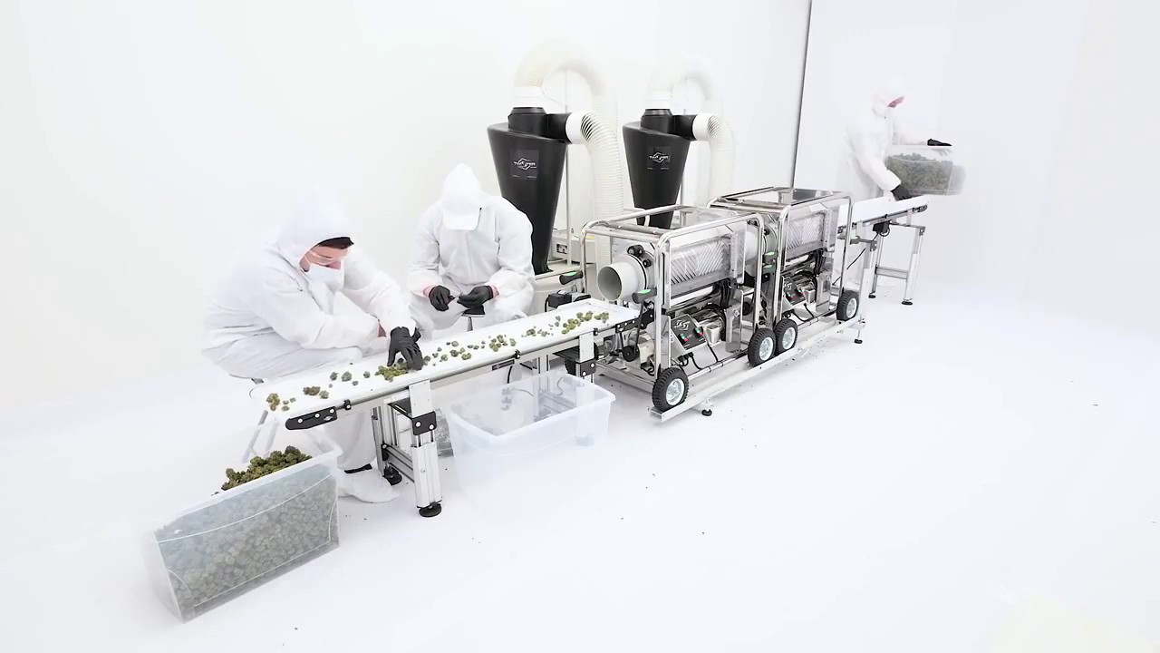 Twister Trimmer Conveyors