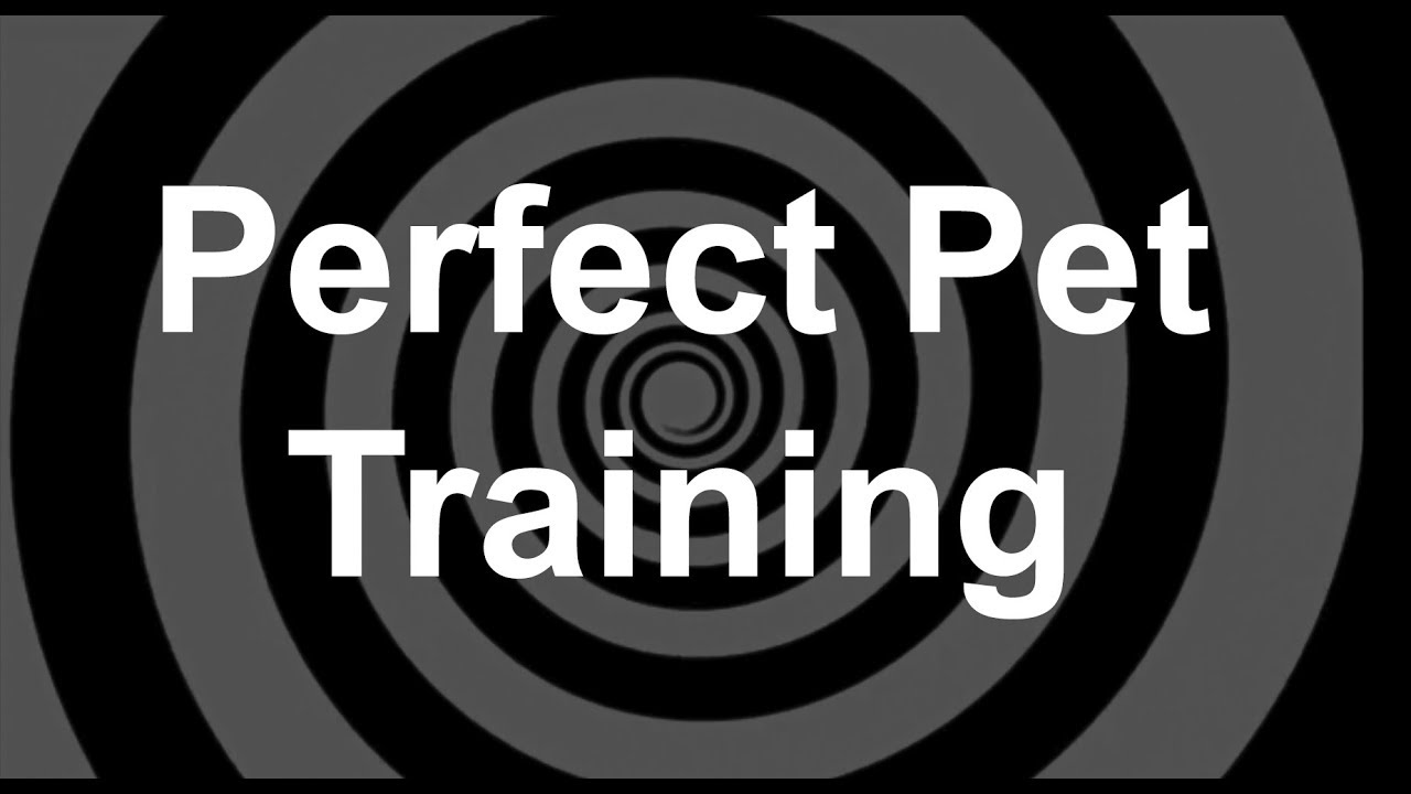 Perfect Pet Training Hypnosis