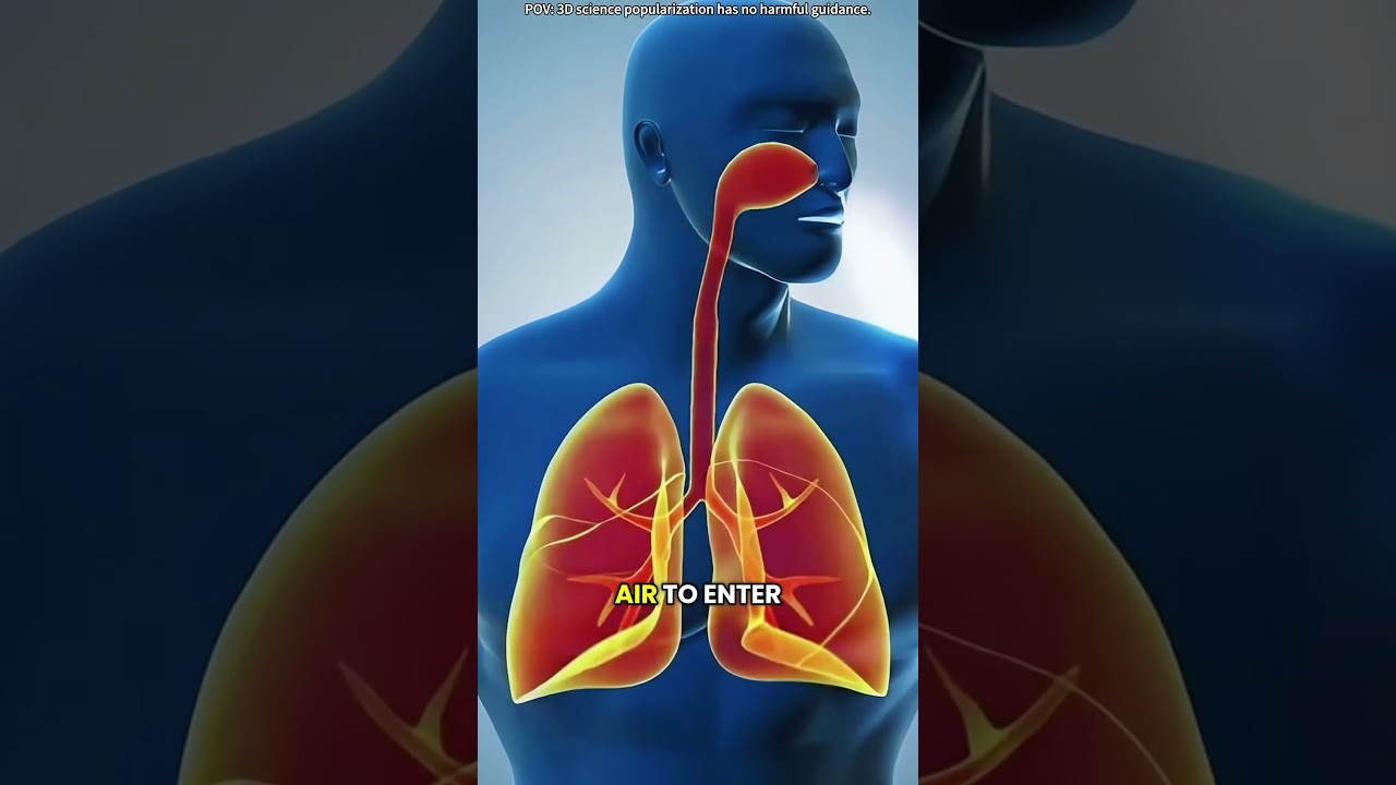 Endotracheal intubation process (3D animation)