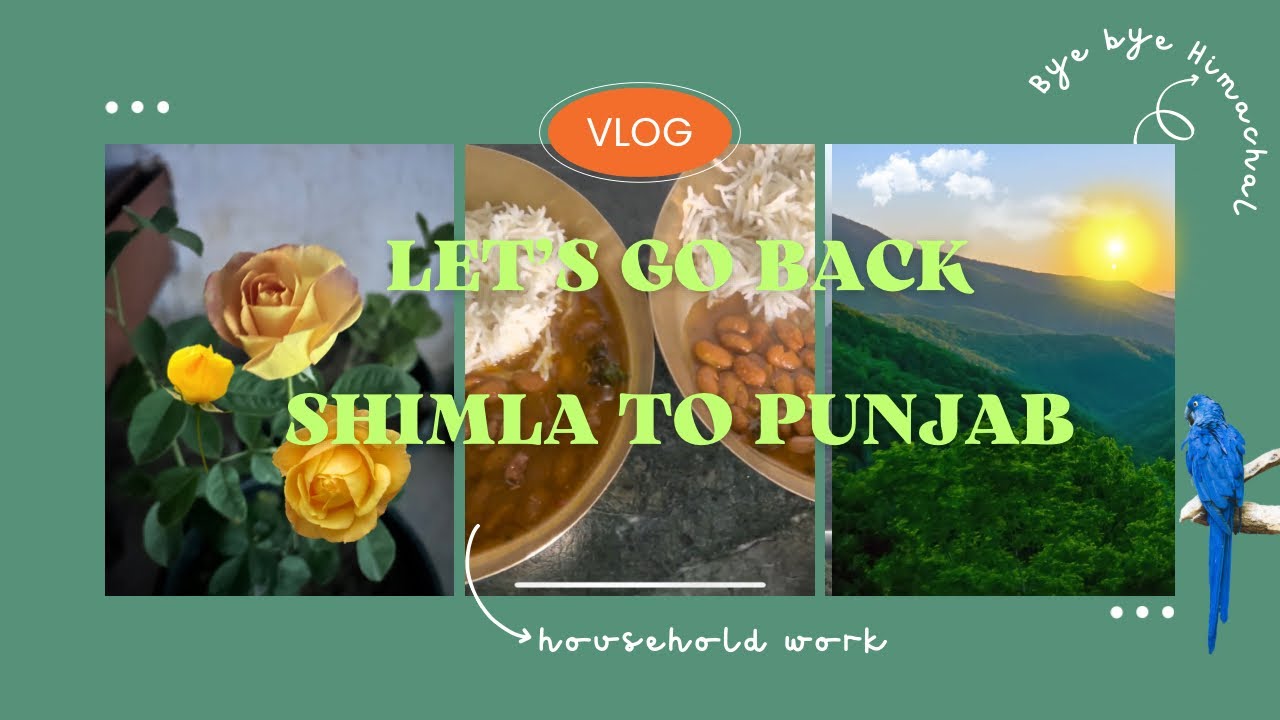 Holidays over|| Achha to hum chalte hain || #shimla to #punjab  #gardening #nature #himachal