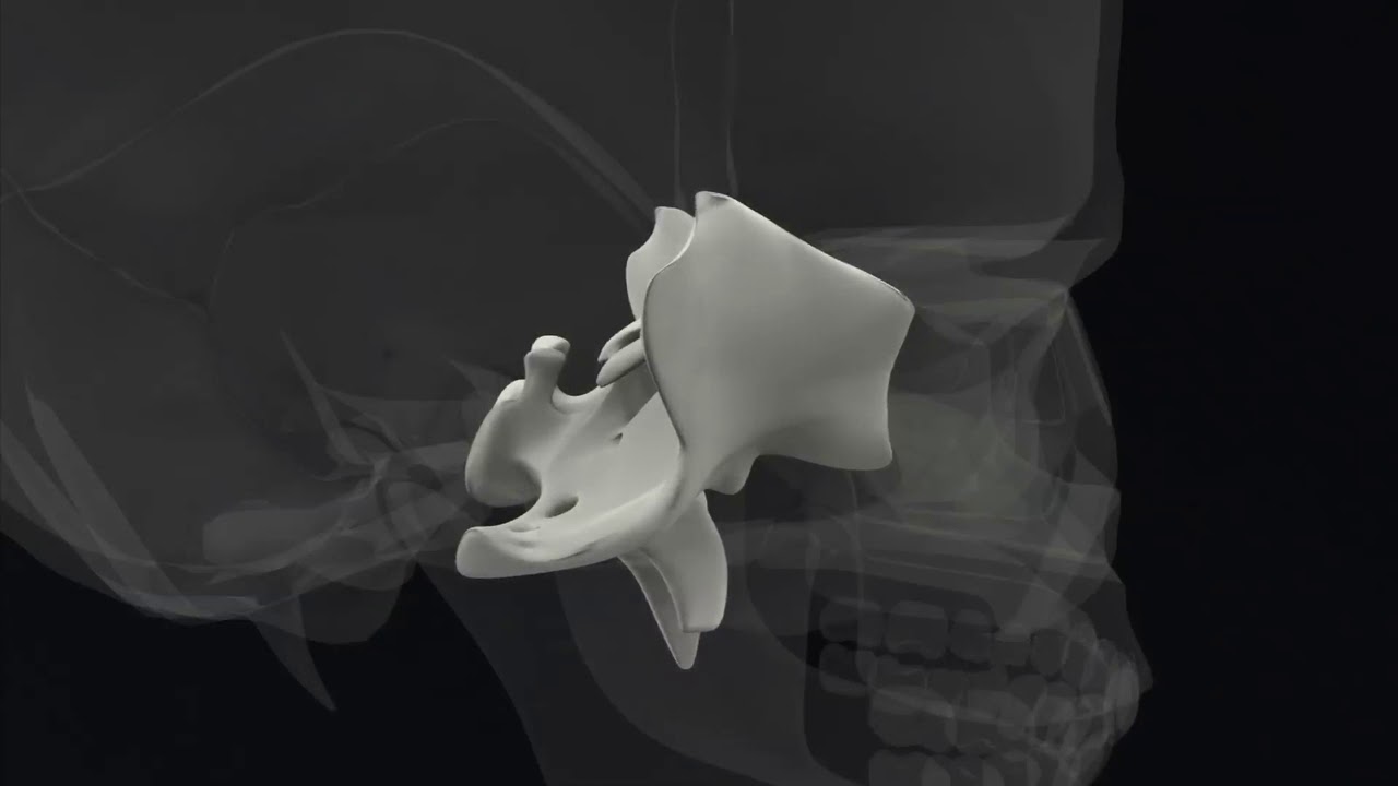 Sphenoid Hold -  Lyons Institute Biodynamic Craniosacral Therapy