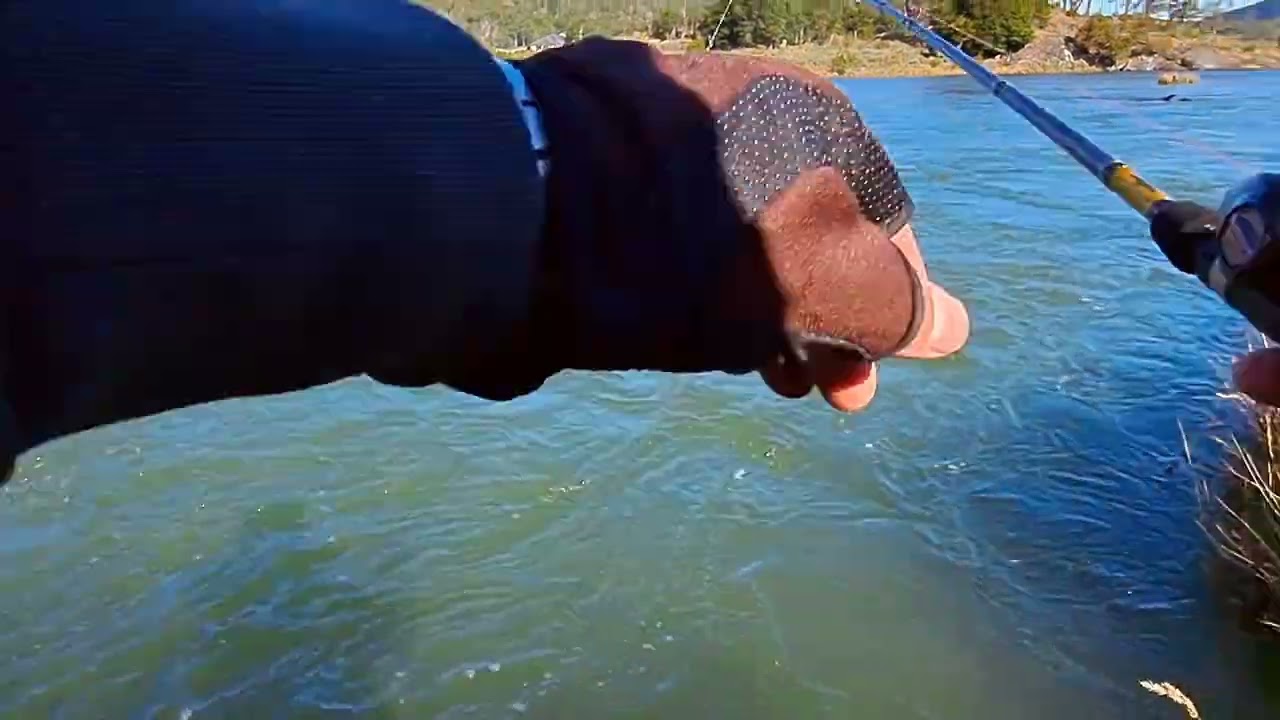 Pesca en rios y lagos de tierra del fuego.