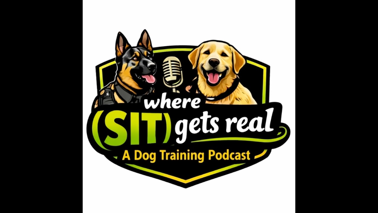 Episode 3: Wes and Shannon answer client questions