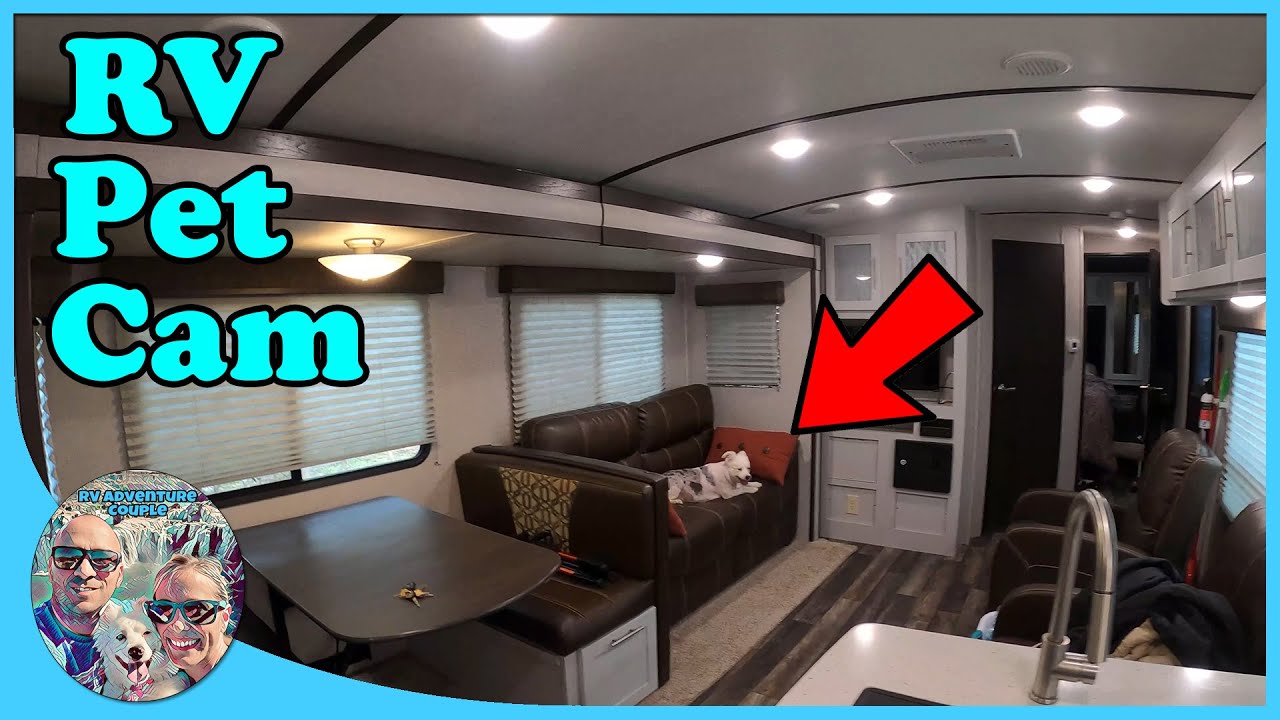 RV Pet Camera - RV Living With a Pet - Check On Your RV & Pet Anytime With This Camera