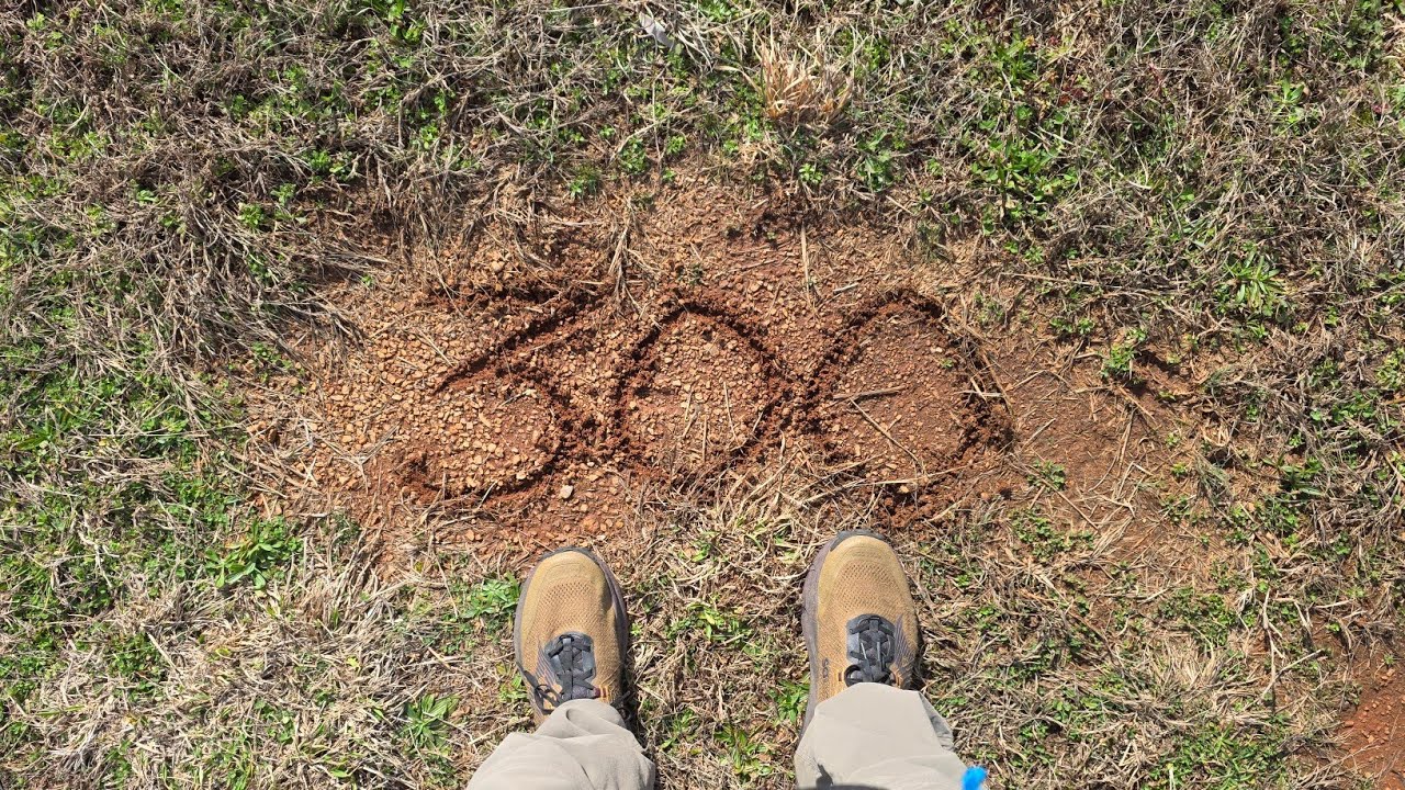Day 22 Putting that chapter to bed Pinhoti Trail Thru Hike