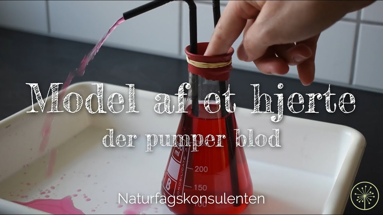 Hjertets pumpen // Lav en model af hjertet der pumper blod