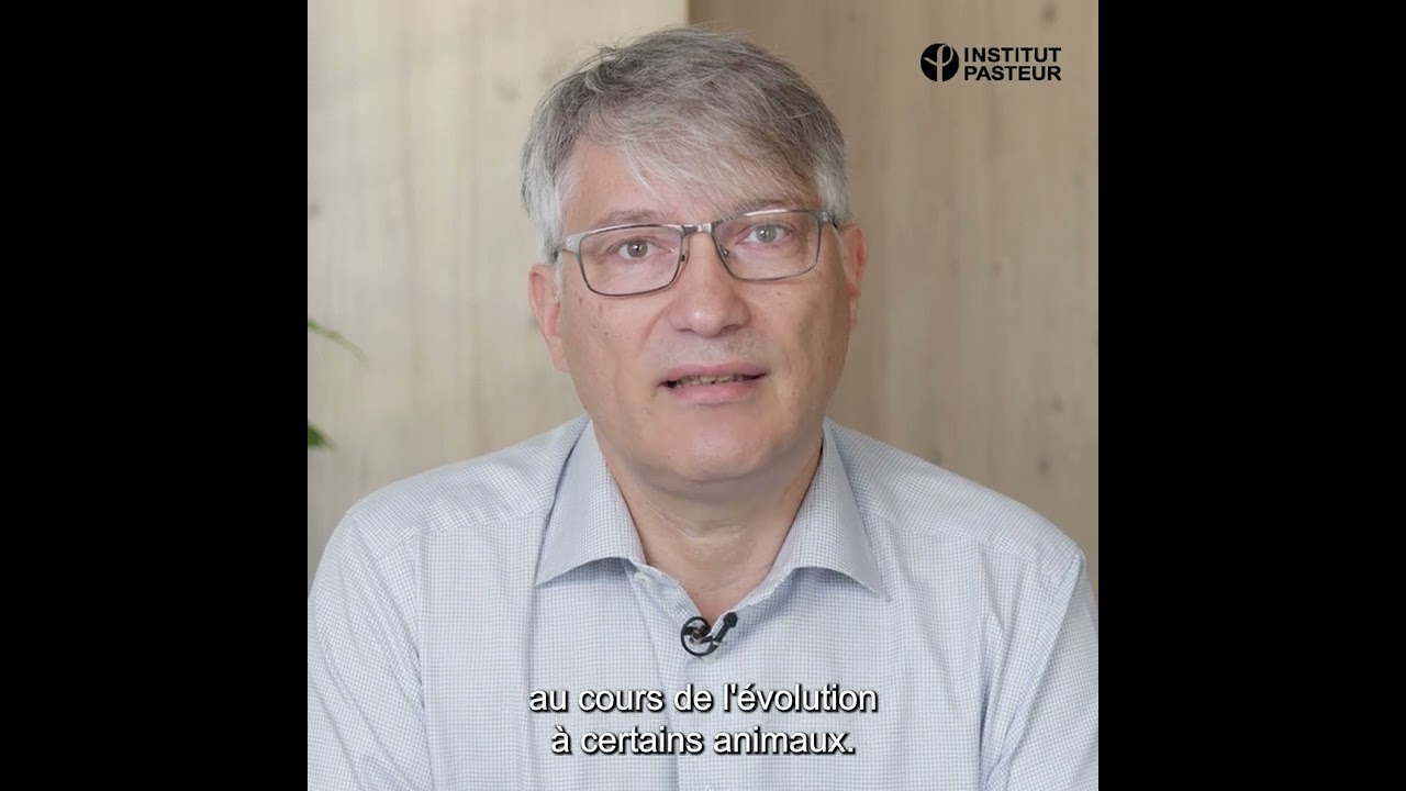🐂🦎🦠 D'o&ugrave; viennent les salmonelles ?