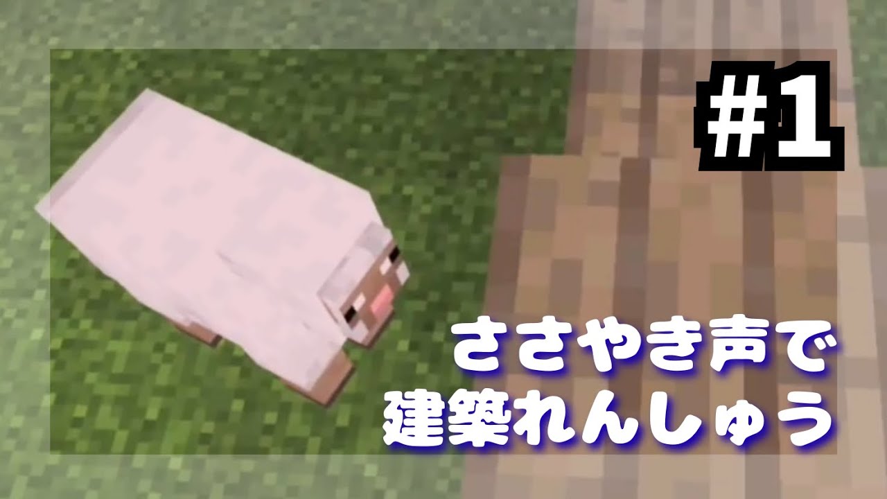 【ささやき建築練習・初級①】眠れない夜にマイクラで小さな家を建ててみよう（寝落ちOK）