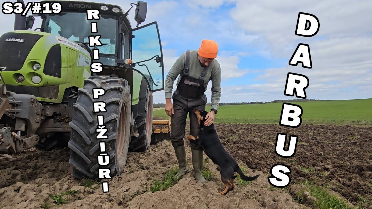 ukis.zemaitija/s3#19 barzduosena, ruošiu dirva kukurūzui