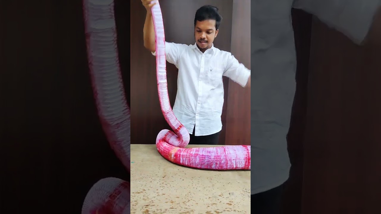 Flexible Paper Sculpture