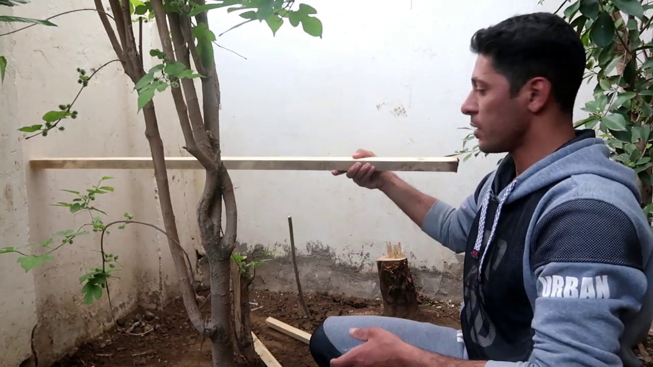 سويت قفص كبير لتزاوج وتكاثر بلبل ابيض الخدين