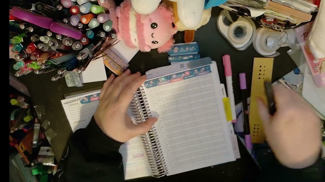 PWM Last week of Jan in my Common Planner Complete and my Franken-planned Colibri and Bella Grace A5