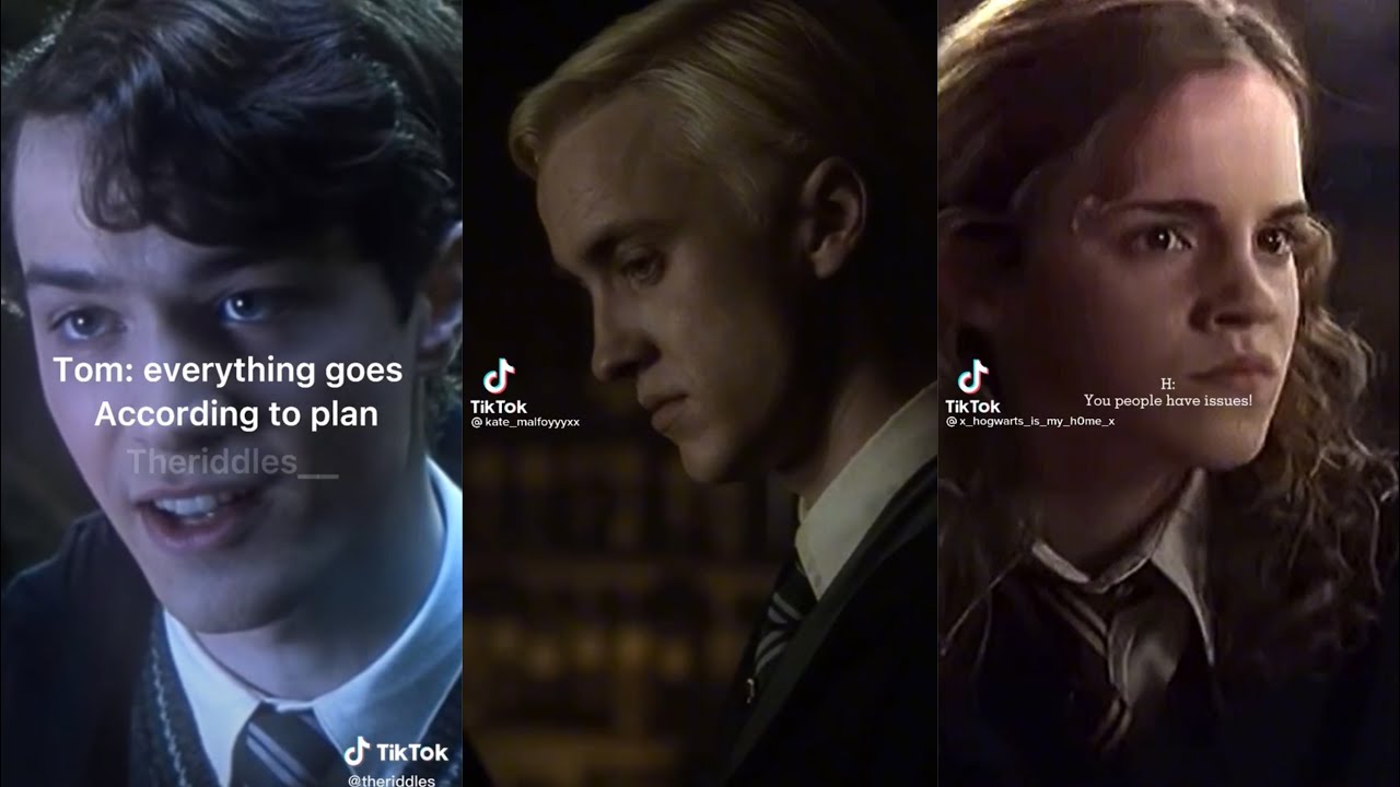 Harry Potter Characters x Y/N TikTok POV