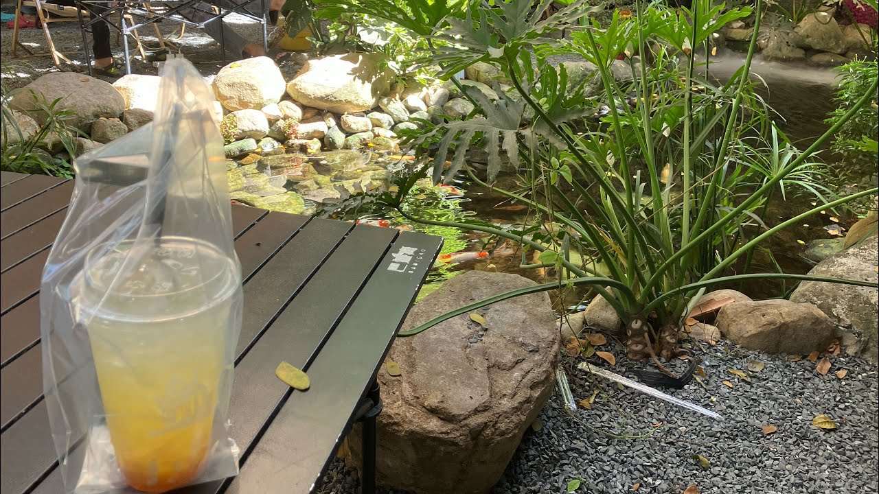 Cambodia Live!  I just keep finding these hidden places… Let’s chat! ￼