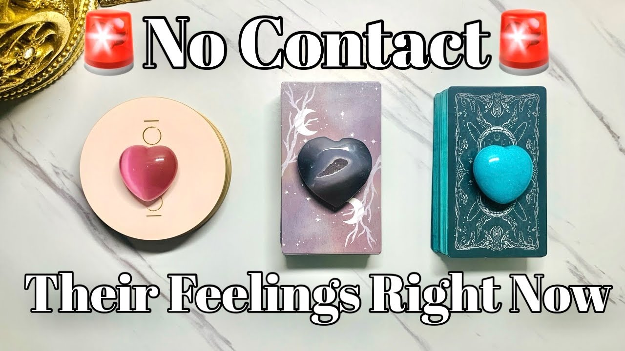 🚨No Contact🚨Their Feelings For You❤️‍🔥and About The Connection💕Pick a Card Love Tarot Reading✨