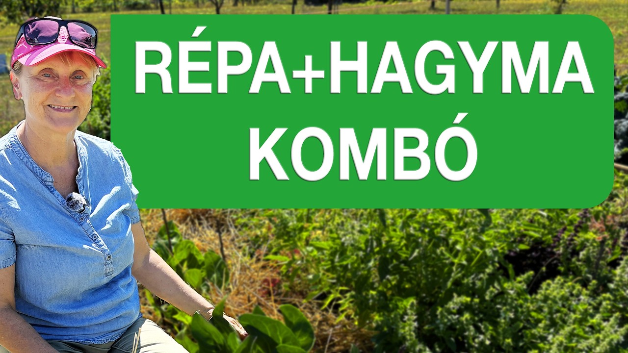 Kártevők ellen természetes megoldás 🥕🧅 Miért jó együtt a répa és a hagyma?