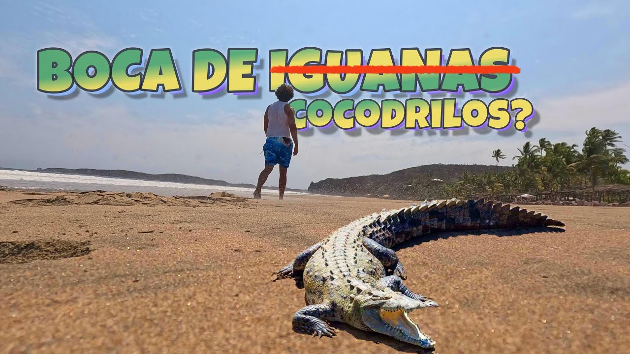 UNA PLAYA SEMI VIRGEN, MISTICISMO Y NATURALEZA! 🌴🐊🦎🌴 ▶QUE HACER en COSTA ALEGRE JALISCO ◀